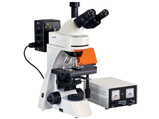 Microscopio ancho del campo L3001 Epifluorescent de la visión con la observación transmitida del campo