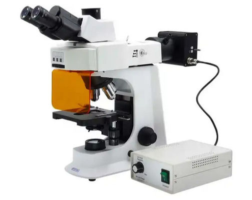 L1501 reflejó el microscopio de fluorescencia con control de brillo de la lámpara del halógeno