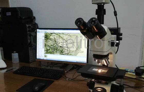 Microscopio metalúrgico 5X 10X 40X 60X de Trinocular Digital con el ocular ancho del campo