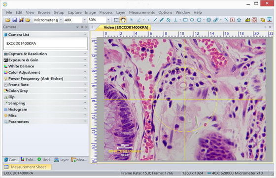USB3.0 Cámara CMOS de la industria Microscopio digital cámara de vídeo cámara con software